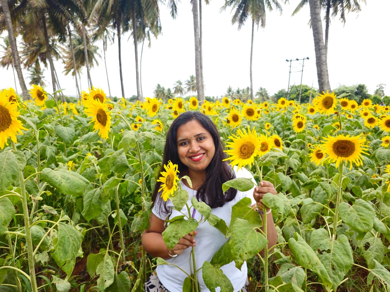 Bhargavi-A-Story